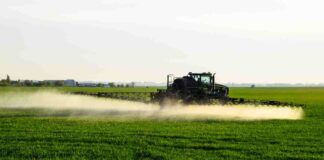 Campo agricolo trattato con glifosato