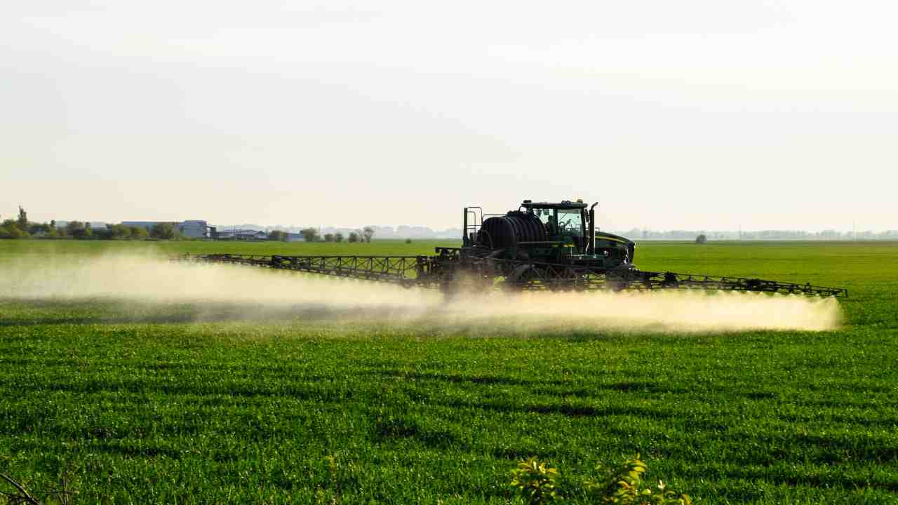 Campo agricolo trattato con glifosato