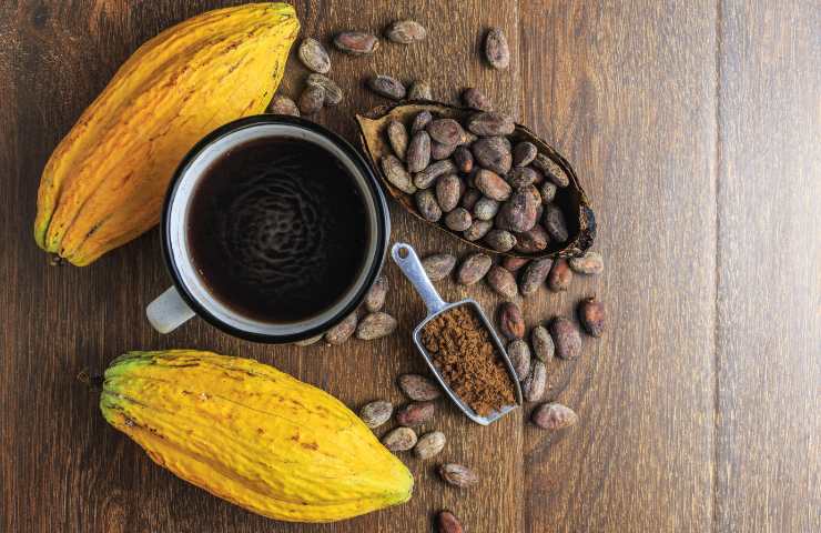 Infuso di fave di cacao