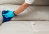 Macchie e puzza di vomito sul divano pavimento e tappeti RicettaSprint