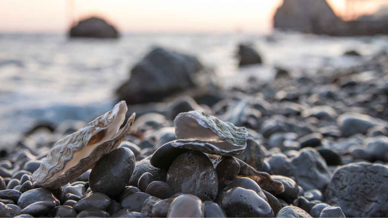 Ostriche al mare