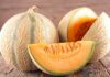 Dei meloni cantalupo freschi