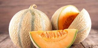 Dei meloni cantalupo freschi