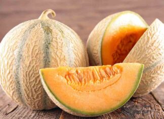 Dei meloni cantalupo freschi