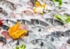 Pesce fresco in pescheria