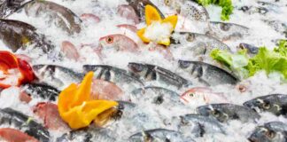 Pesce fresco in pescheria