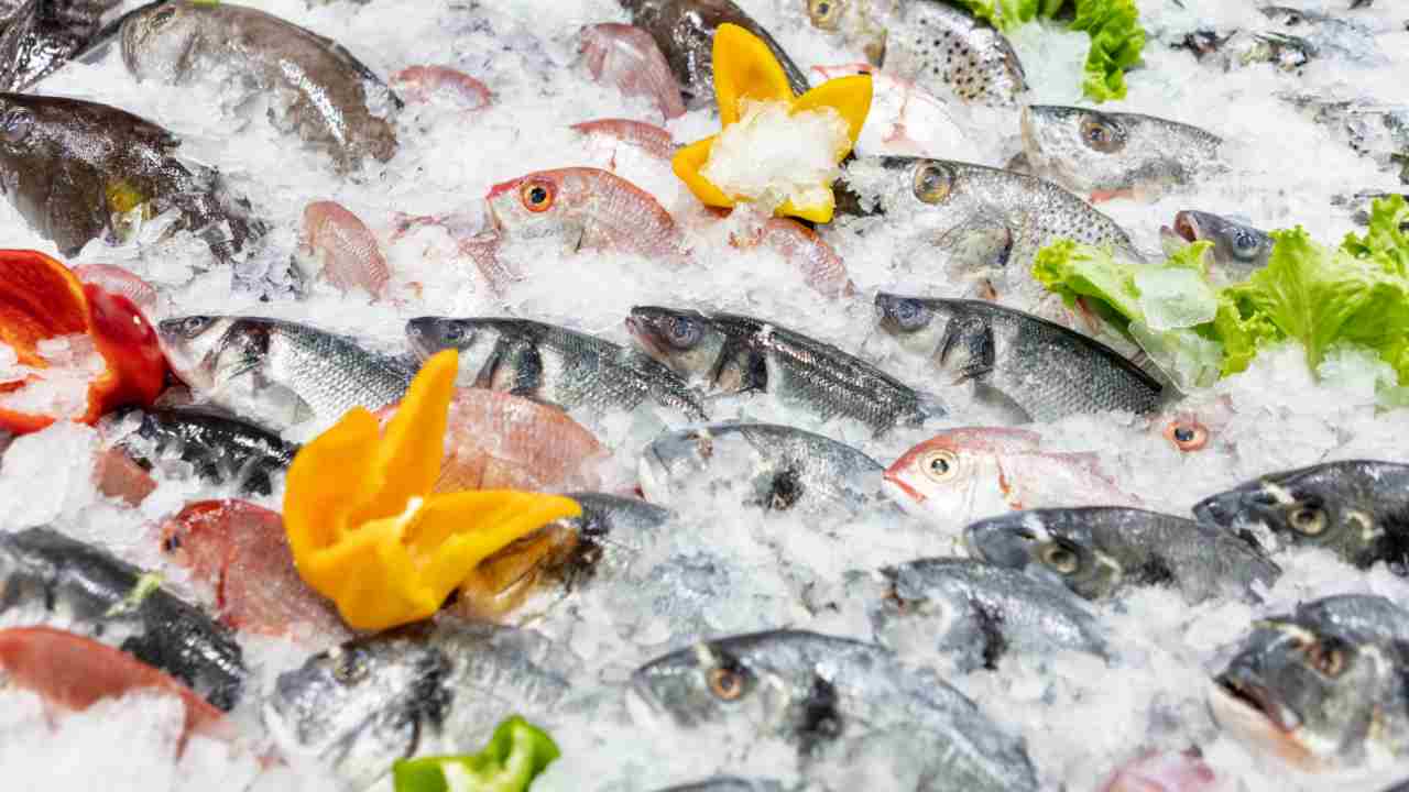 Pesce fresco in pescheria