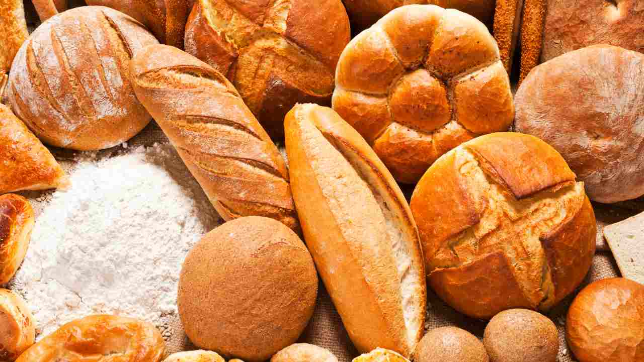 Diversi tipi di pane