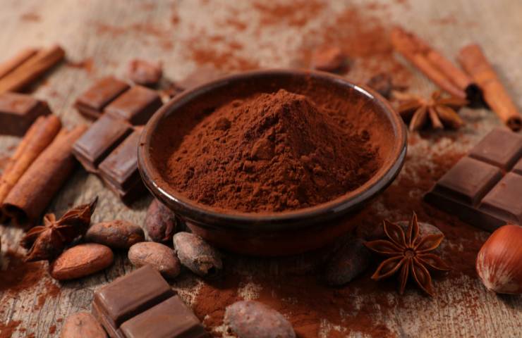 Polvere di cacao