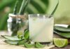 Pericoli aloe vera da vera - RicettaSprint