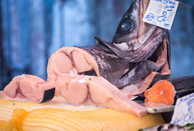 Pesce spada come si conserva - RicettaSprint