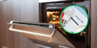Forno acceso