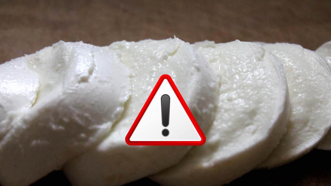Mozzarella di bufala campana DOP