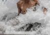 Giovane che fa il bagno a mare