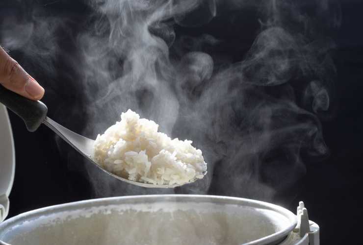 Risotto al melone cantalupo - RicettaSprint