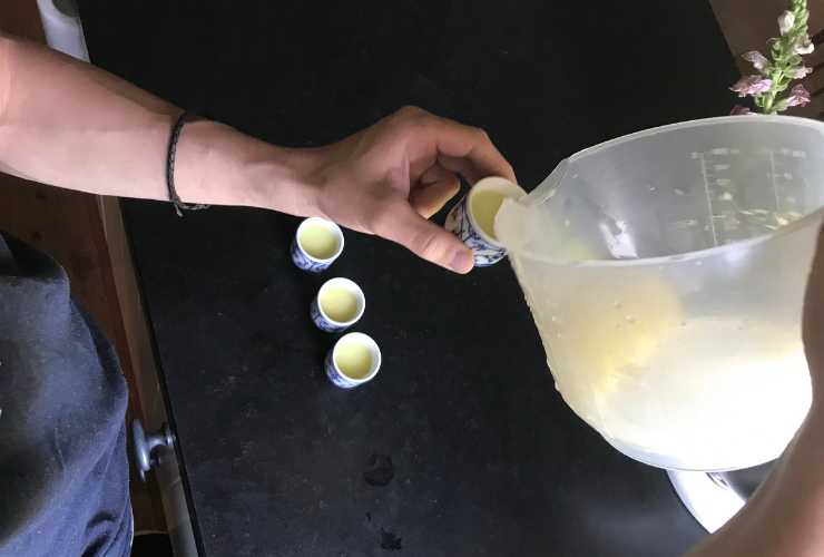 Shot da bere tutti i giorni per avere energia - RicettaSprint