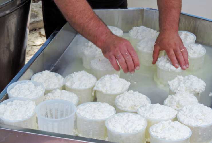 Siero della ricotta cosa possiamo fare - RicettaSprint