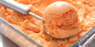Sorbetto limone cantalupo - RicettaSprint