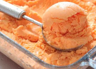 Sorbetto limone cantalupo - RicettaSprint