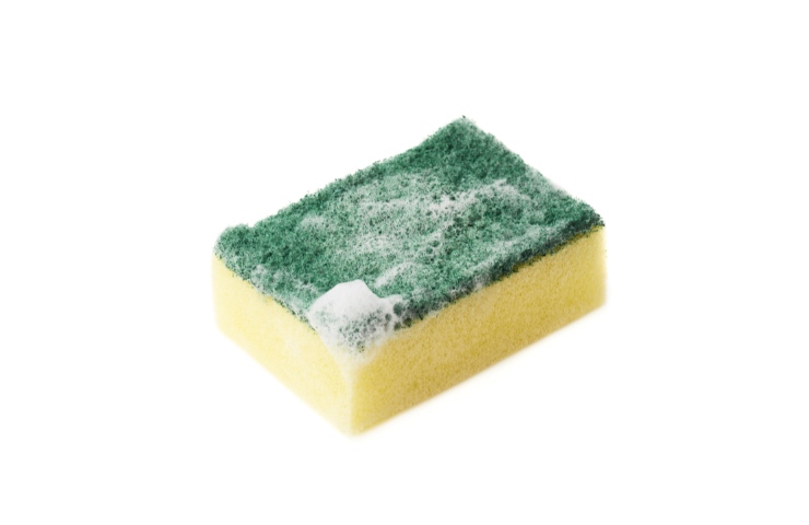 Una spugnetta da cucina