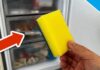 Una spugnetta ed un congelatore aperto
