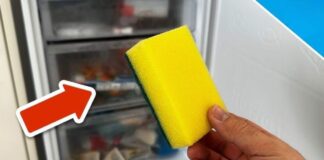 Una spugnetta ed un congelatore aperto