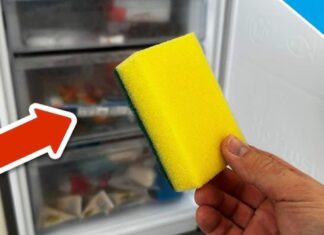 Una spugnetta ed un congelatore aperto