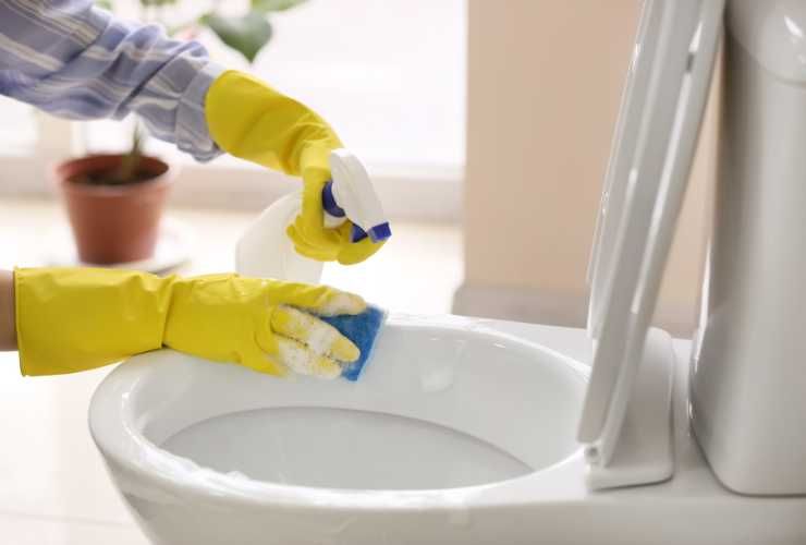 Strisce gialle sul water come rimuoverle - RicettaSprint