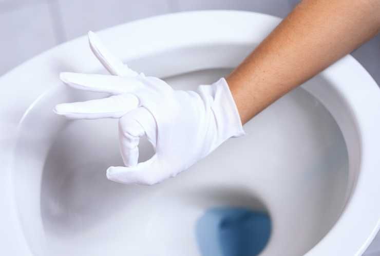Strisce gialle sul water come rimuoverle - RicettaSprint