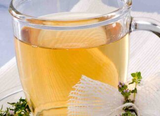 Tisana dell'estate - RicettaSprint