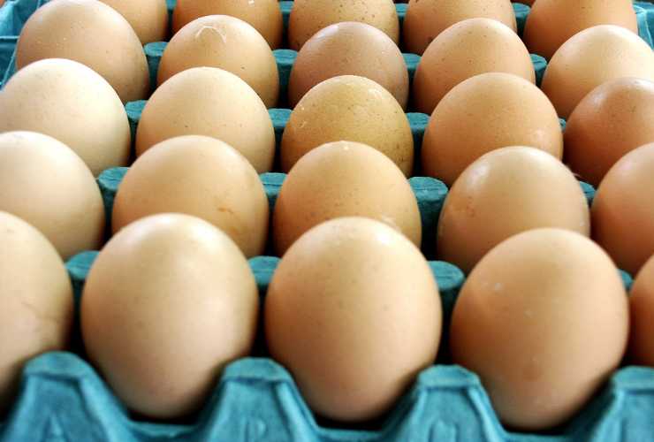 Uova come vanno conservate in estate - RicettaSprint