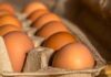Uova come vanno conservate in estate - RicettaSprint