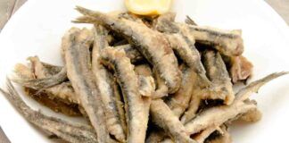 alici fritte alla napoletana ricettasprint
