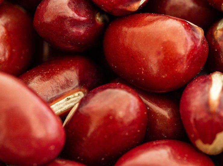 fagioli