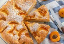 pandolce di albicocche ricettasprint