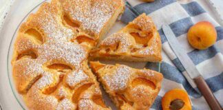pandolce di albicocche ricettasprint