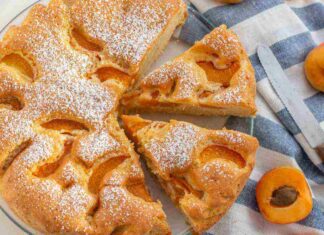 pandolce di albicocche ricettasprint