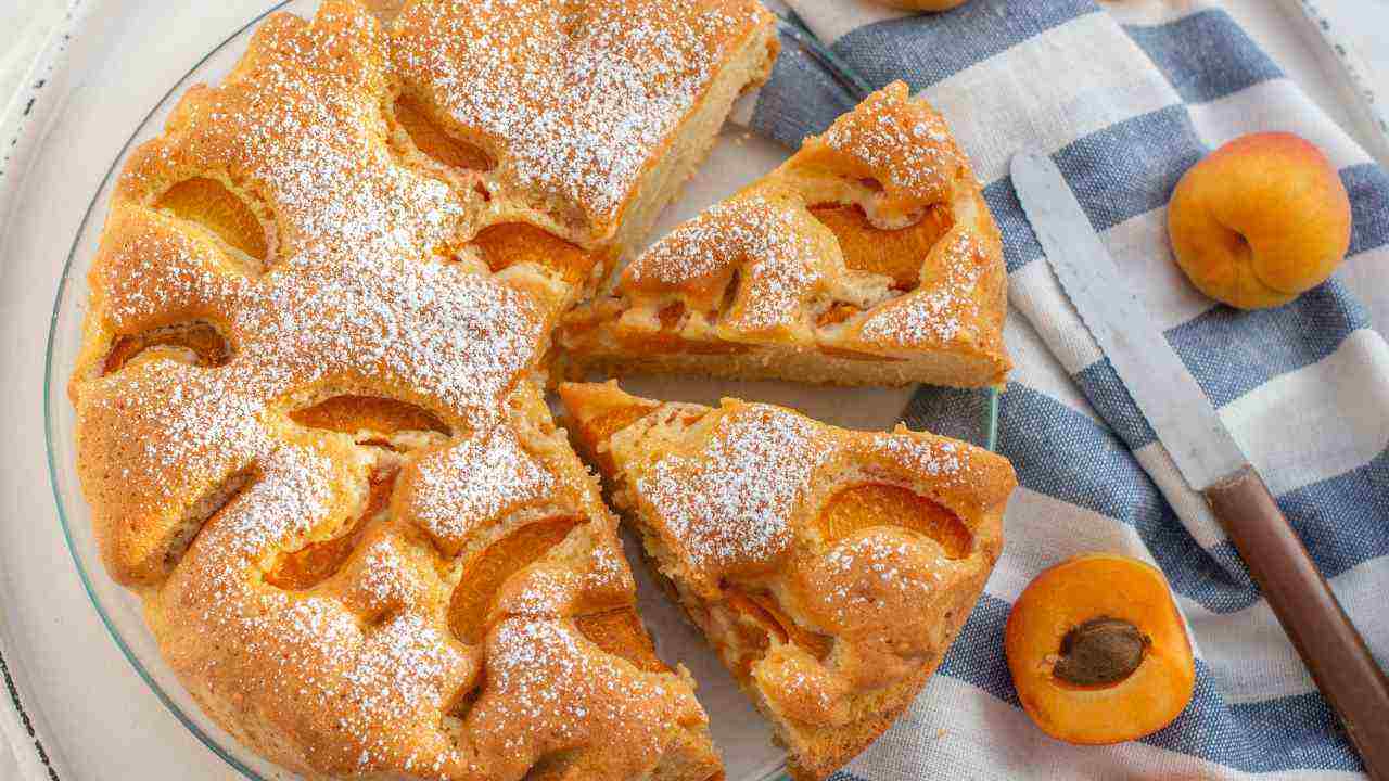 pandolce di albicocche ricettasprint