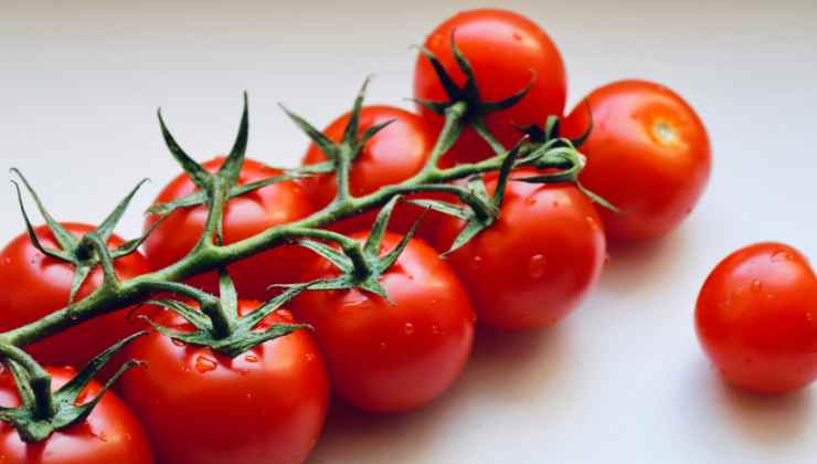 pomodori
