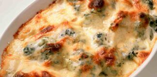 teglia di spinaci e mozzarella gratin ricettasprint