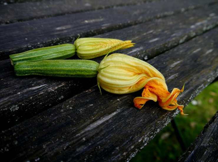 zucchine e fiori