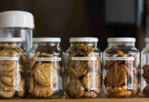 Biscotti sempre croccanti durante l’estate, con questo trucco non si ammorbidiscono più Biscotti trucco per evitare che si ammorbidiscano - RicettaSprint