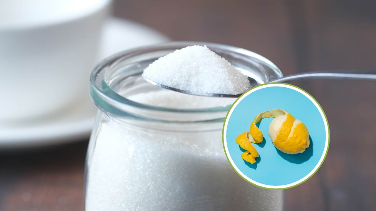 Un barattolo di zucchero e le scorze di un limone