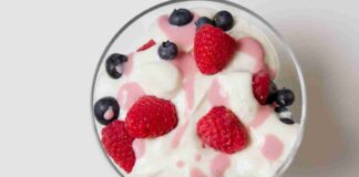 Budino fit con salsa di lamponi