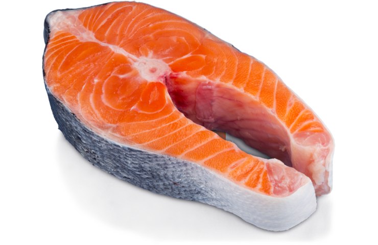 Un trancio di salmone con la pelle