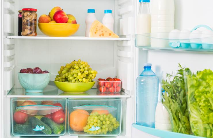 Frutta e verdure in frigo