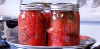 Conserva pomodori a pezzi RicettaSprint