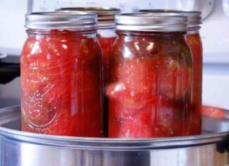 Conserva pomodori a pezzi RicettaSprint