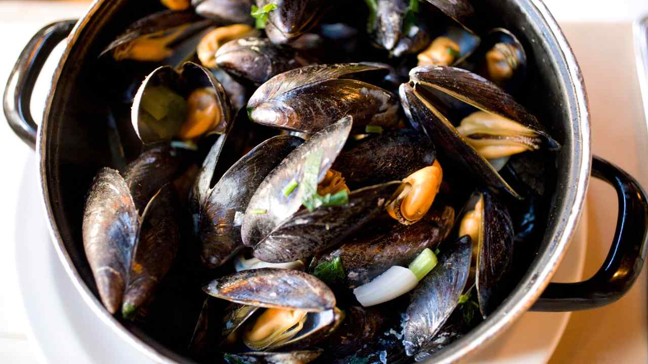 Conservare cozze nere ecco come fare - RicettaSprint