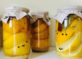 Conservare limoni in barattolo RicettaSprint